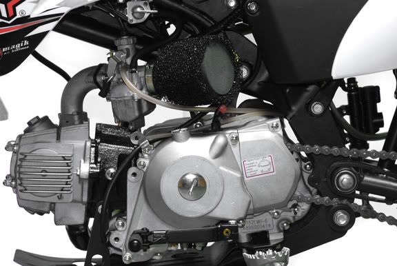 2011 MX 110 SS (Pics & Specs)